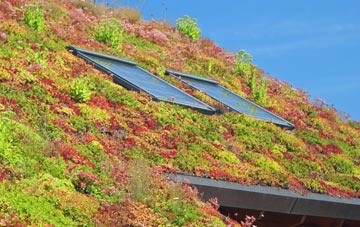 Shirland living roof systems