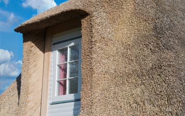 Shirland thatch roof disadvantages